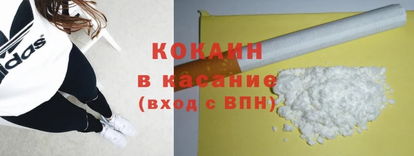 дмт Касимов