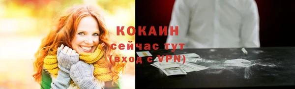 дмт Касимов