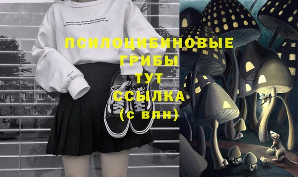 a pvp Карпинск