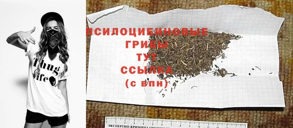 дмт Касимов
