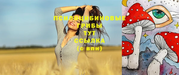 гидропоника Карталы