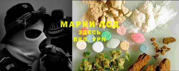 гидропоника Карталы