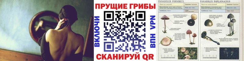 Псилоцибиновые грибы ЛСД  Купить  Катав-Ивановск 